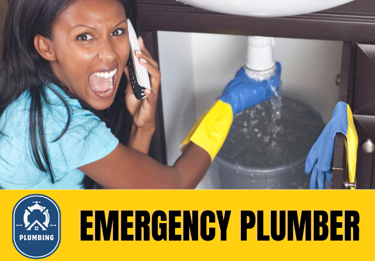 emergency plumber Dover
