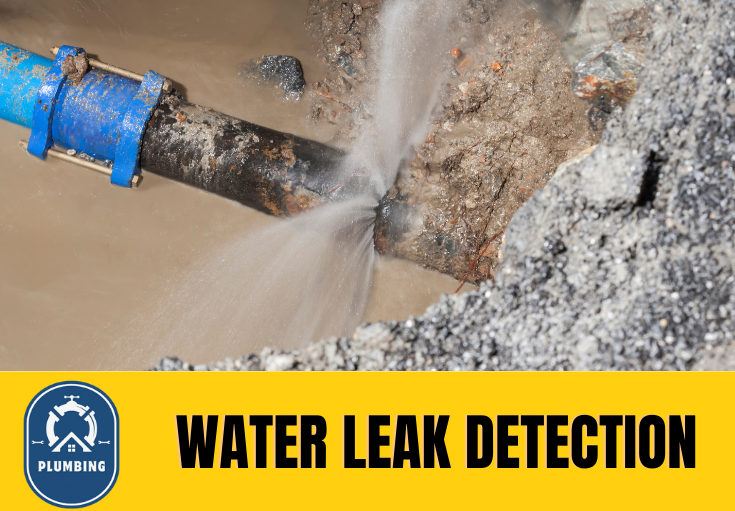 leak detection Dover
